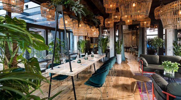 Hoteles Ofertas Dynamic Tours