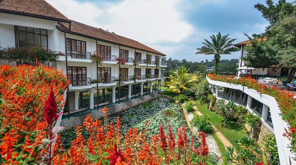 Hoteles Ofertas Dynamic Tours