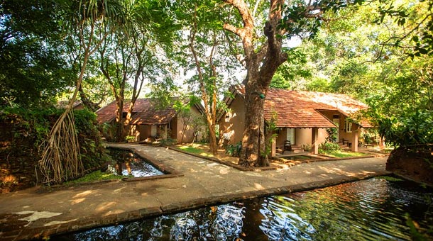 Hoteles Ofertas Dynamic Tours