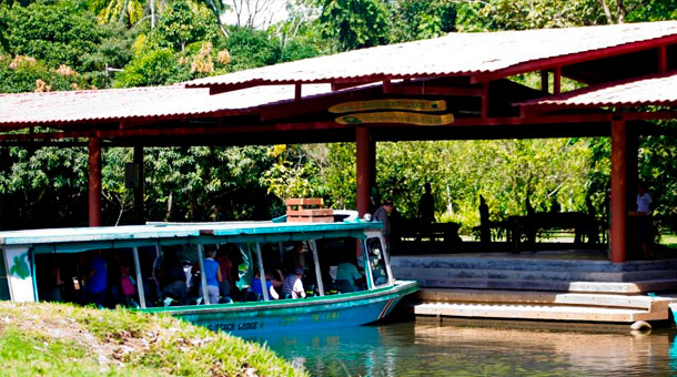 Hoteles Ofertas Dynamic Tours