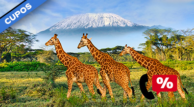 Safari Lo Mejor De Tanzania